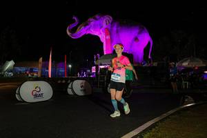 BIB: 
                            <button type="button" onclick="openModal(26542844)" class="btn btn-primary btn-sm float-right btn-popup" data-toggle="modal" data-target=".modal-high-quality">
                        <i class="fas fa-shopping-cart"></i> Add to Cart
                    </button>
                                            <button type="button" onclick="isThisMe(26542844, true)" class="btn btn-success btn-sm float-right btn-popup btn-isme hidden" data-toggle="tooltip" data-placement="bottom" title="นี่คือรูปของคุณใช่ไหม คลิกที่นี่เพื่อเอาเข้าอัลบั้ม">
                        <i class="fas fa-plus"></i> Add to album
                    </button>
                    <button type="button" onclick="isThisMe(26542844, false)" class="btn btn-warning btn-sm float-right btn-popup btn-isnotme hidden">
                        <i class="fas fa-ban"></i> Remove from album
                    </button>